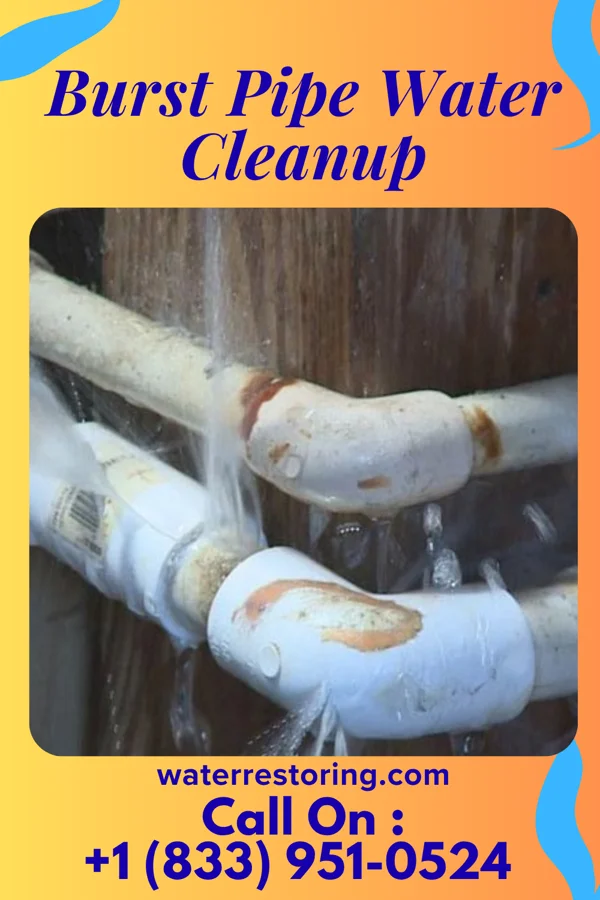 Burst Pipe Water Cleanup in Quincy, OH