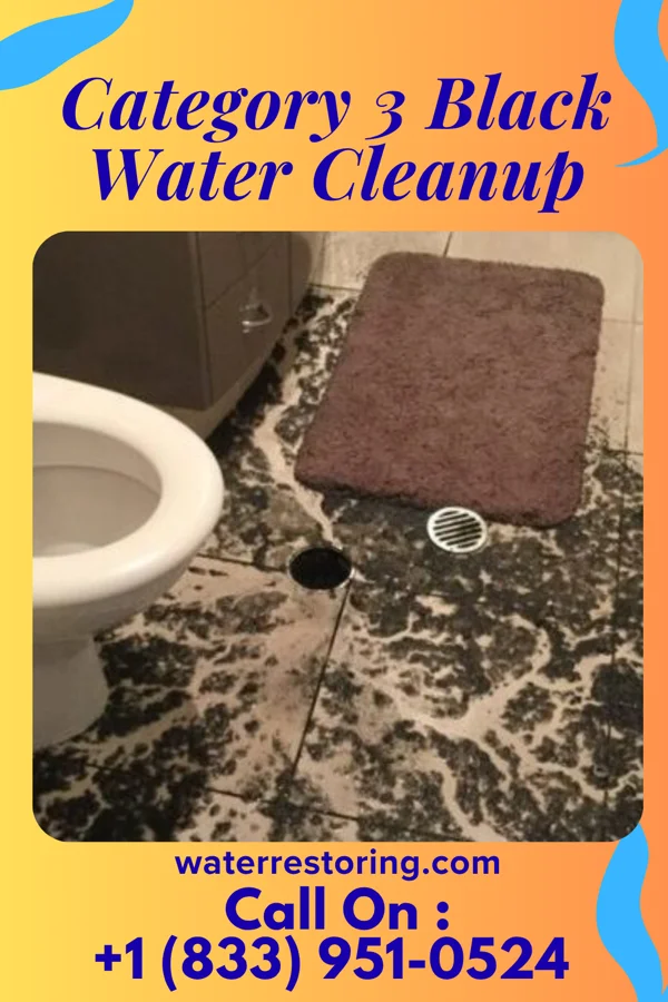 Category 3 Black Water Cleanup in Quincy, OH