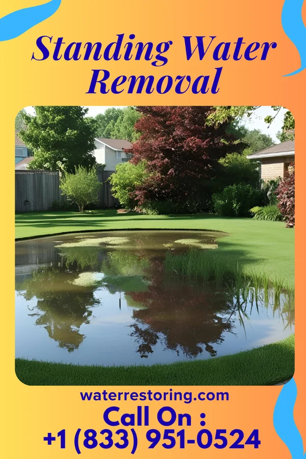 Standing Water Removal in Quincy, OH